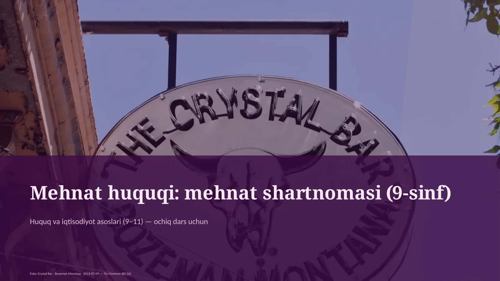 Mehnat huquqi: mehnat shartnomasi (9-sinf)
