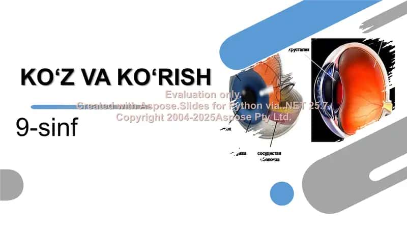 KO‘Z VA KO‘RISH