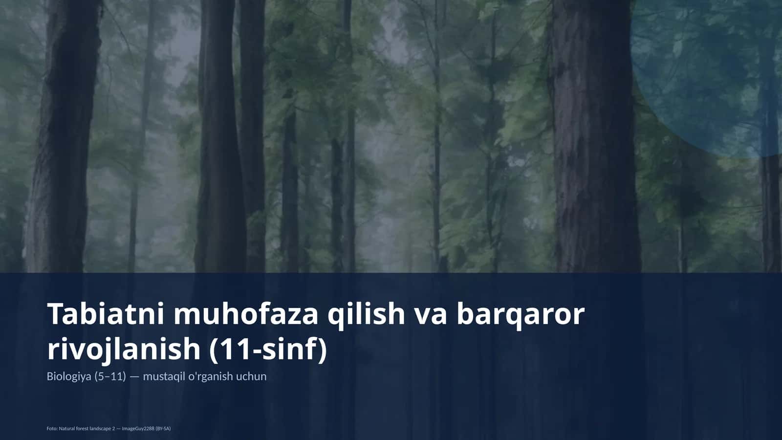 Tabiatni muhofaza qilish va barqaror rivojlanish (11-sinf)