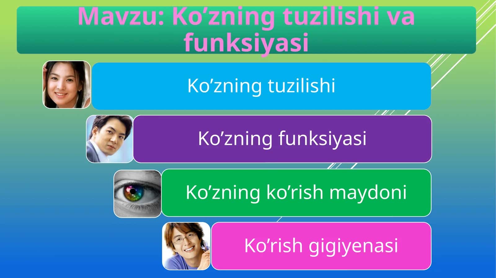 Ko’zning tuzilishi