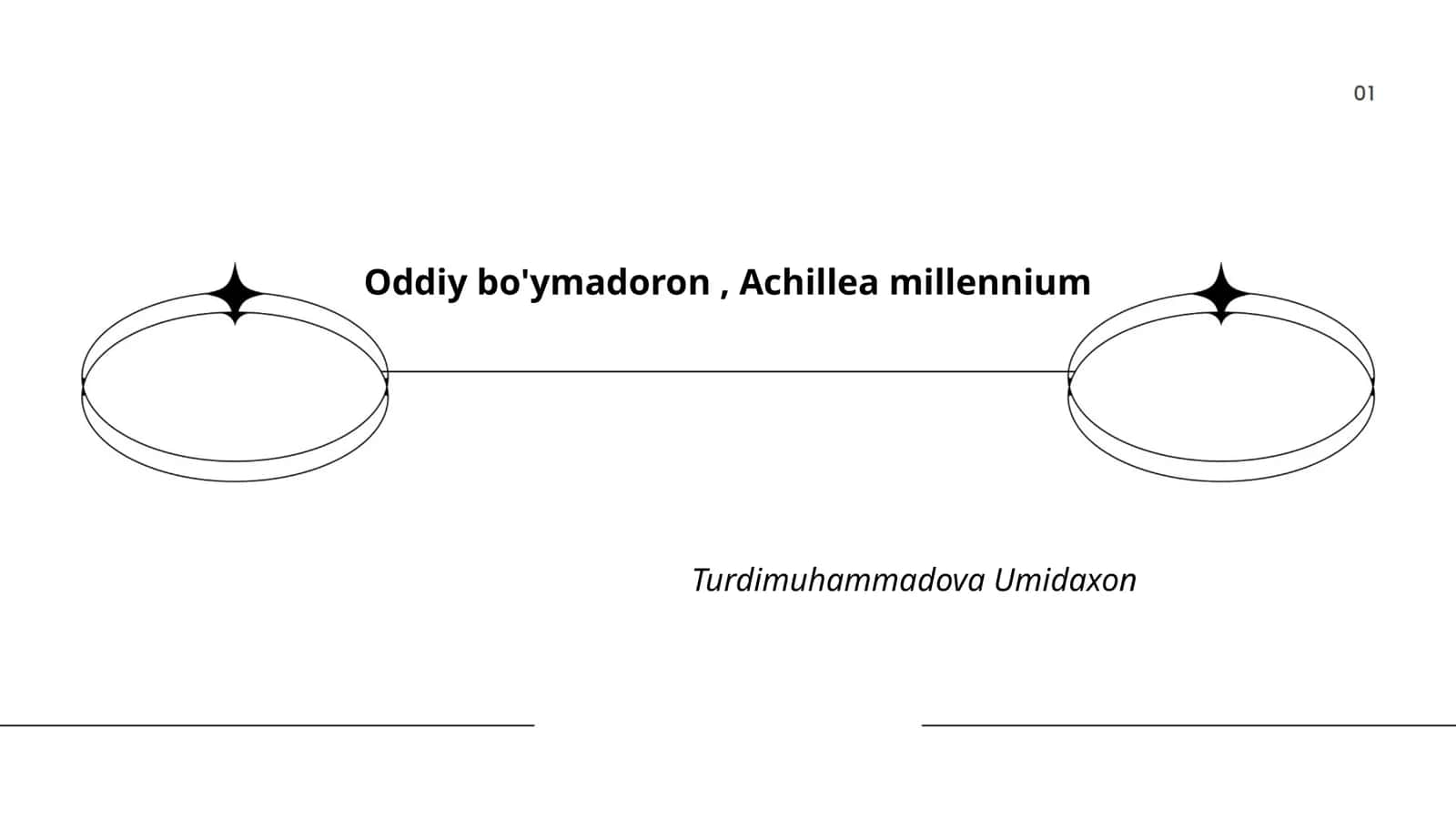 Oddiy bo'ymadoron, Achillea millennium