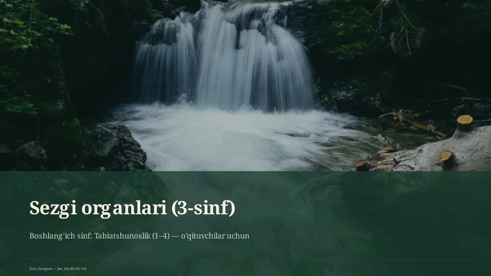 Sezgi organlari (3-sinf)