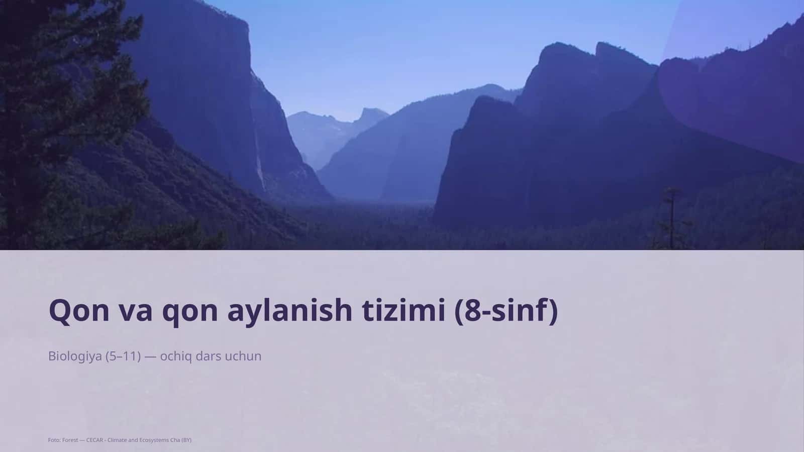 Qon va qon aylanish tizimi (8-sinf)