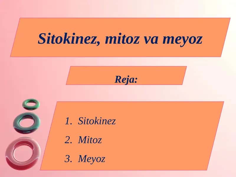 Sitokinez, mitoz va meyoz