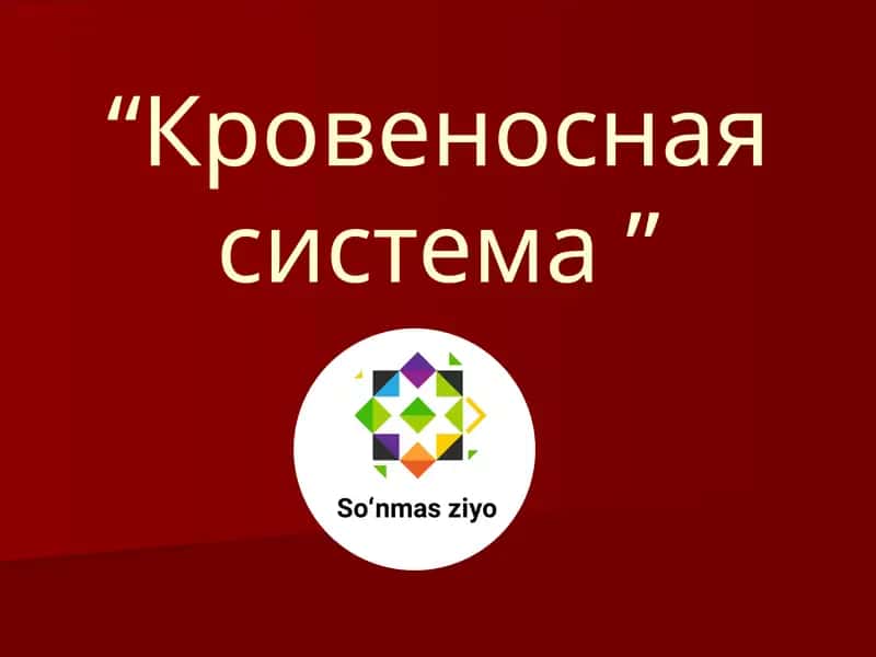 Кровеносная система
