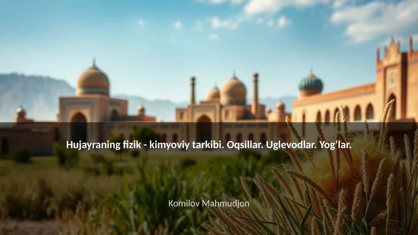 Hujayraning fizik - kimyoviy tarkibi