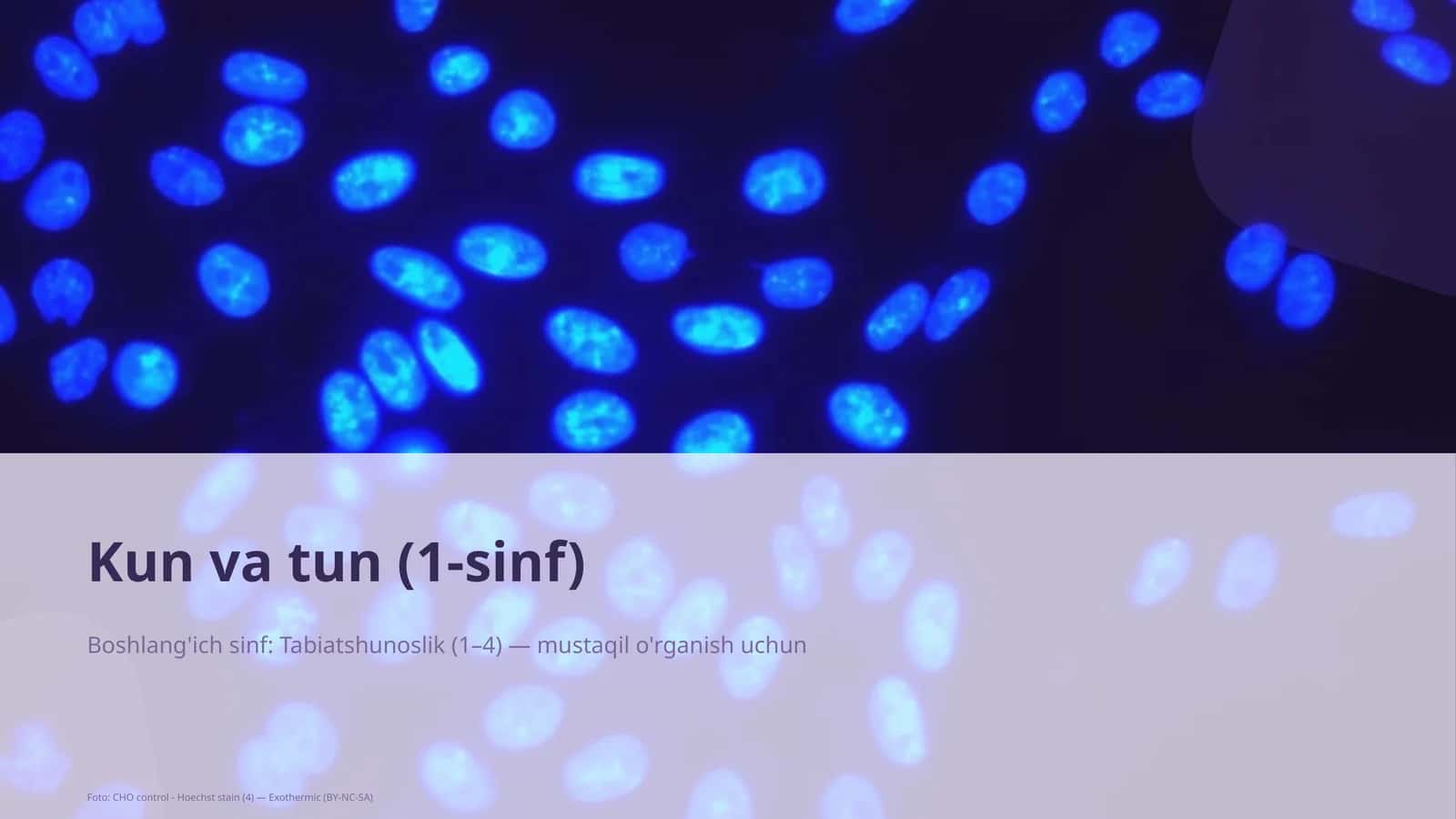 Kun va tun (1-sinf)