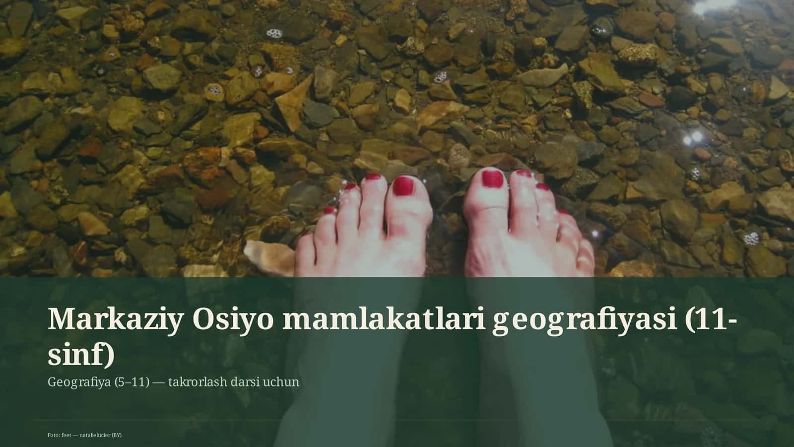 Markaziy Osiyo mamlakatlari geografiyasi (11-sinf)