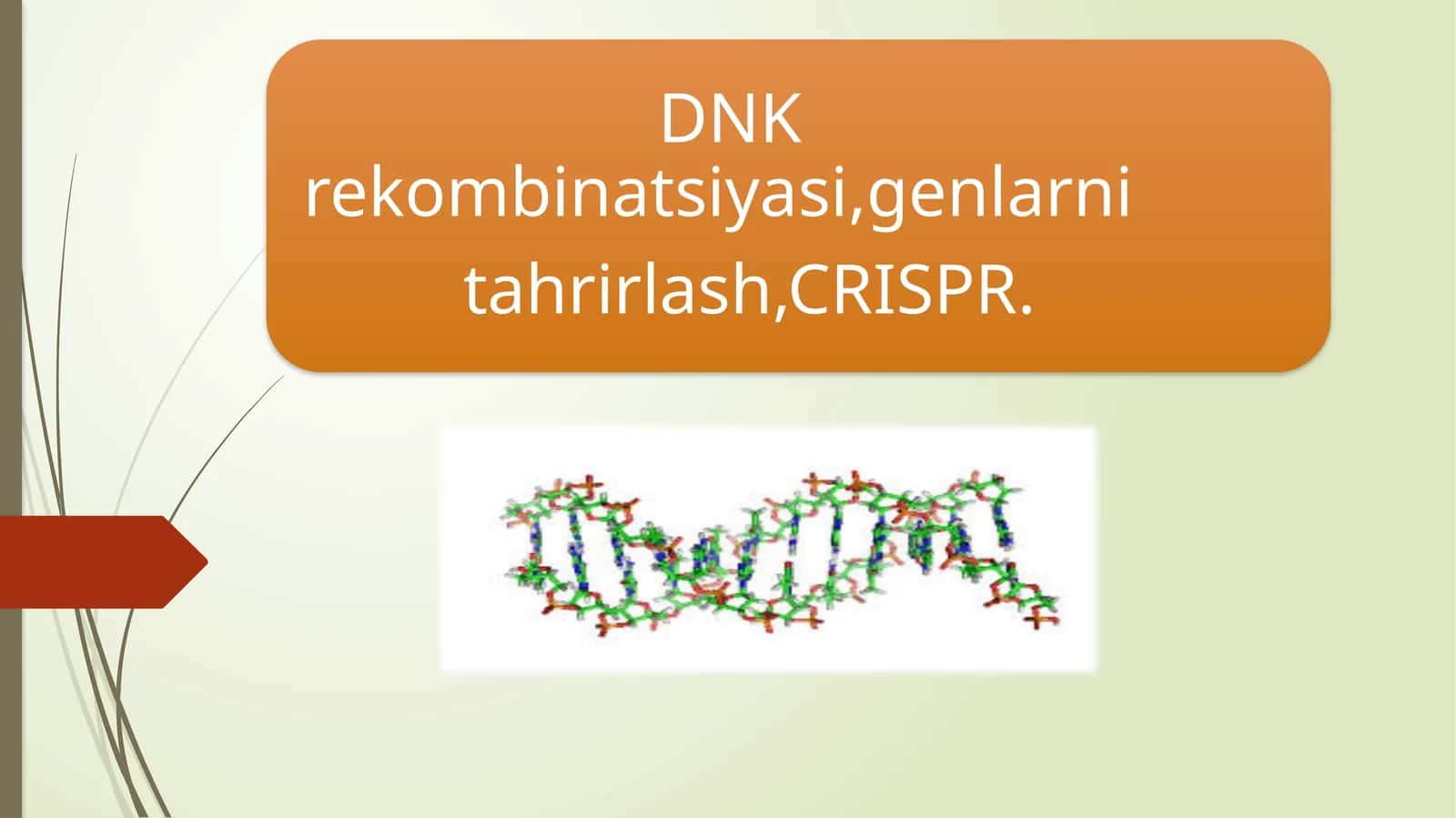 DNK rekombinatsiyasi, genlarni tahrirlash. CRSIPR