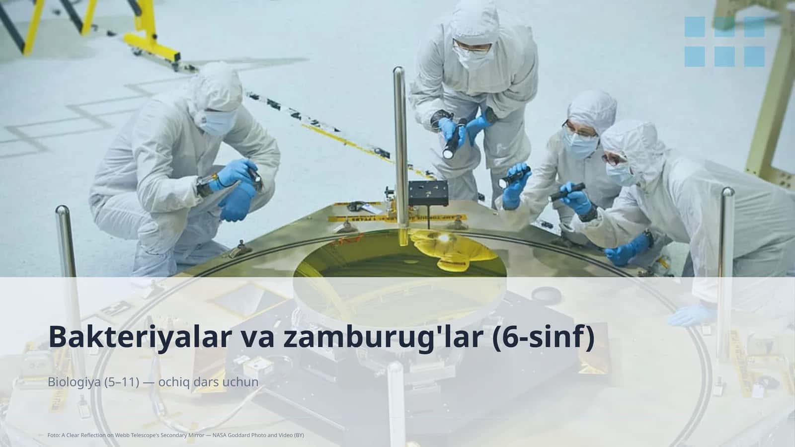 Bakteriyalar va zamburug'lar (6-sinf)