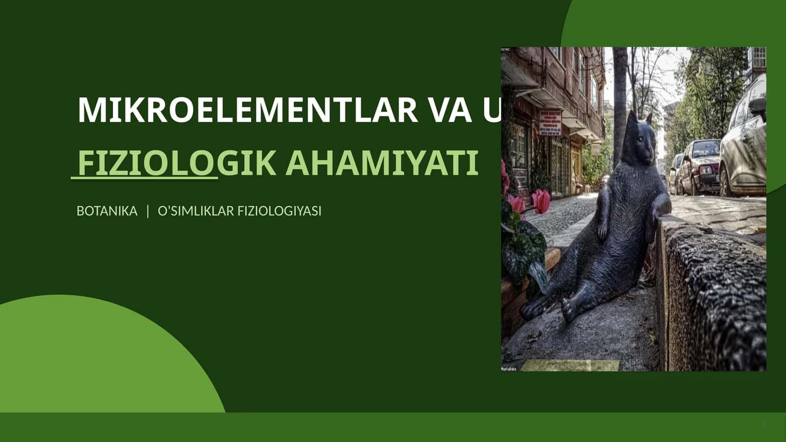 Mikroelementlar va ularning fizsiologik ahamiyati