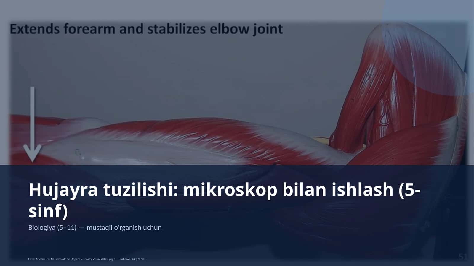 Hujayra tuzilishi: mikroskop bilan ishlash (5-sinf)