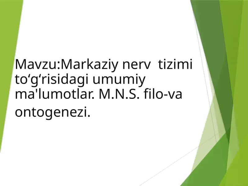 Nerv tizimi-tana qismlari va a’zolaming faoliyatini bir-biri bilan bog'labbir butuntizimni hosil qiladivaorganizm faoliyatinitashqi muhit bilan munosabatini boshqaradi