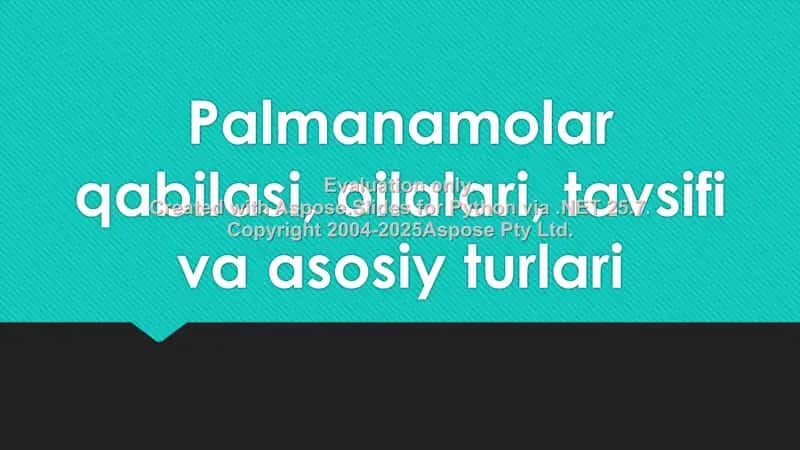 Palmanamolar qabilasi