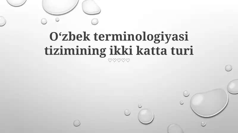 Oʻzbek terminologiyasi tizimining ikki katta turi