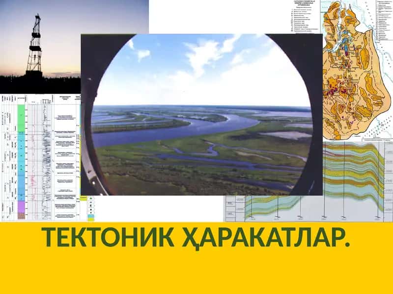 Тектоник ҳаракатлар