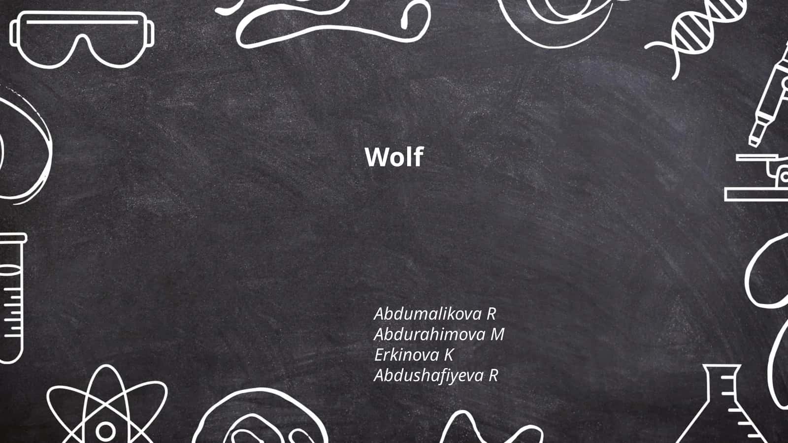 Wolf Behavior