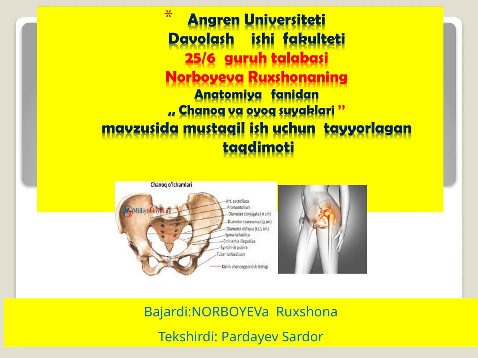 Bajardi: NORBOYEVaRuxshona