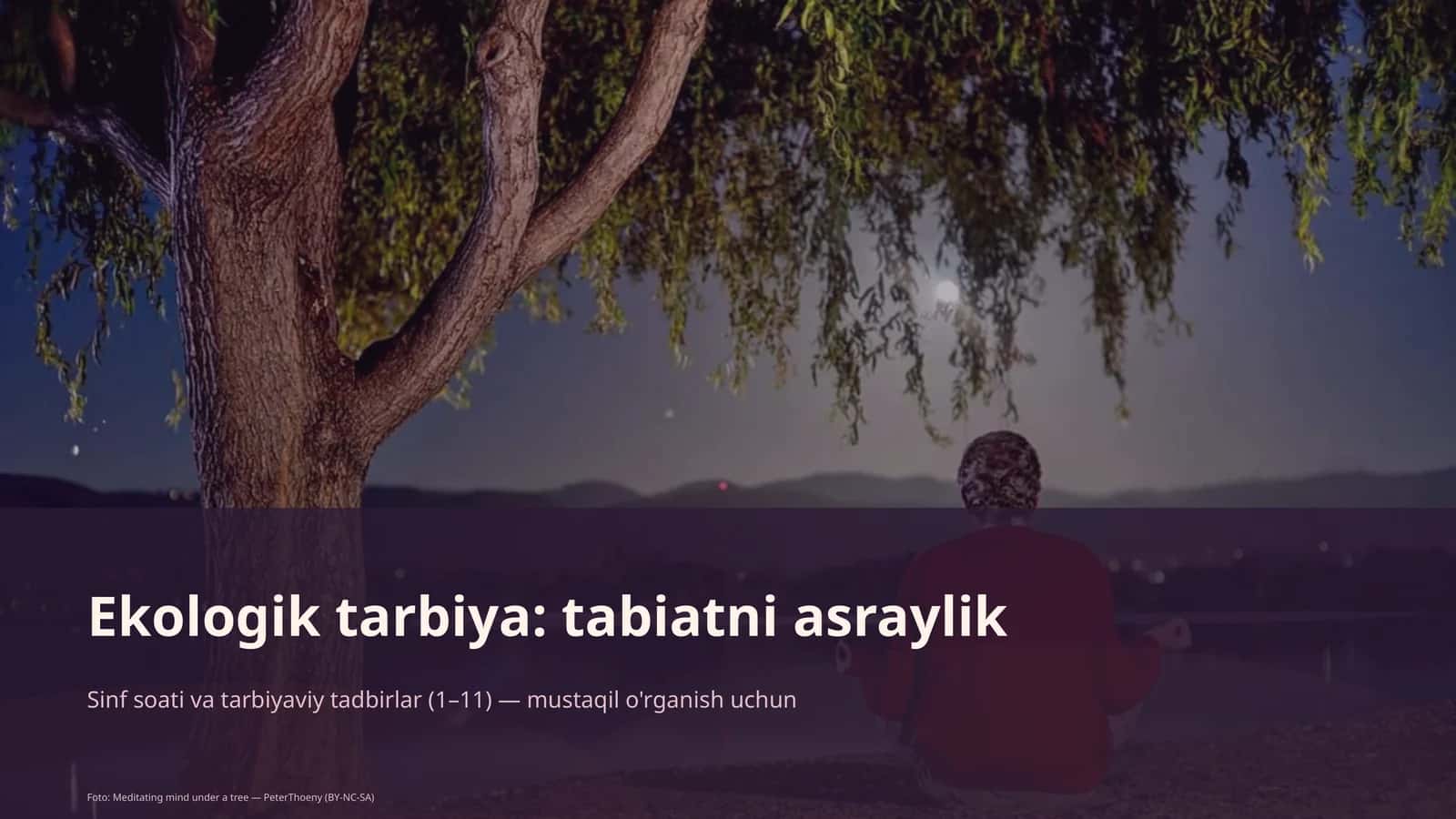 Ekologik tarbiya: tabiatni asraylik