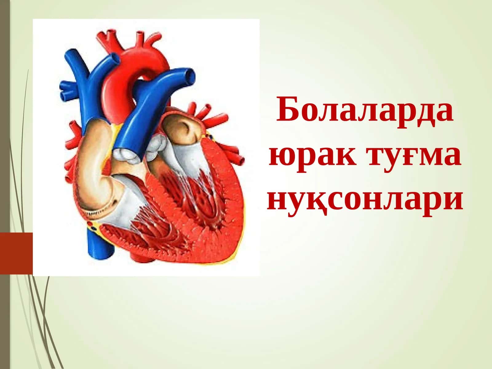 Болаларда юрак туғма нуқсонлари