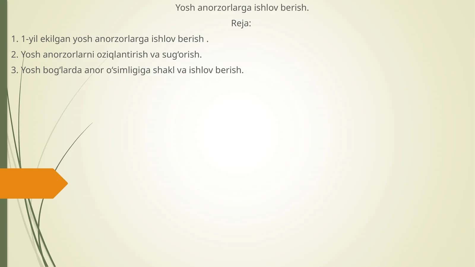 Yosh anorzorlarga ishlov berish