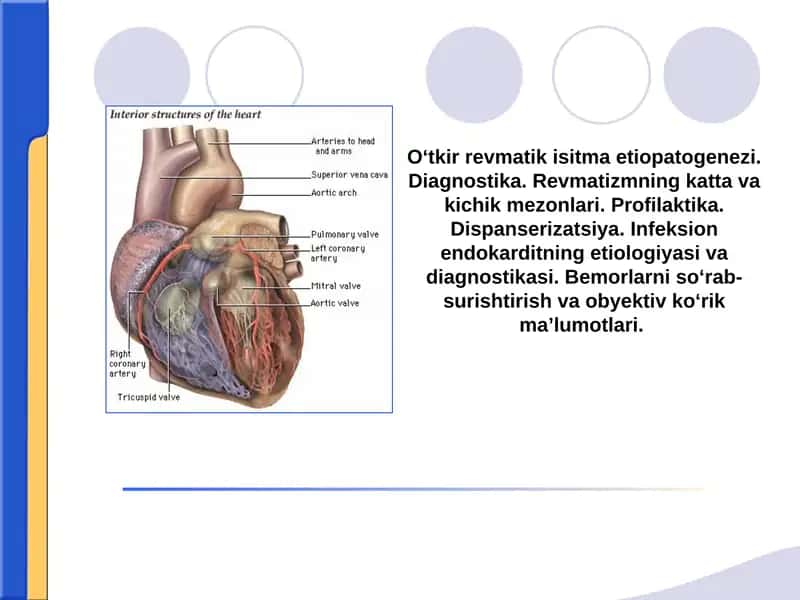 Revmatizmning kattavakichik mezonlari