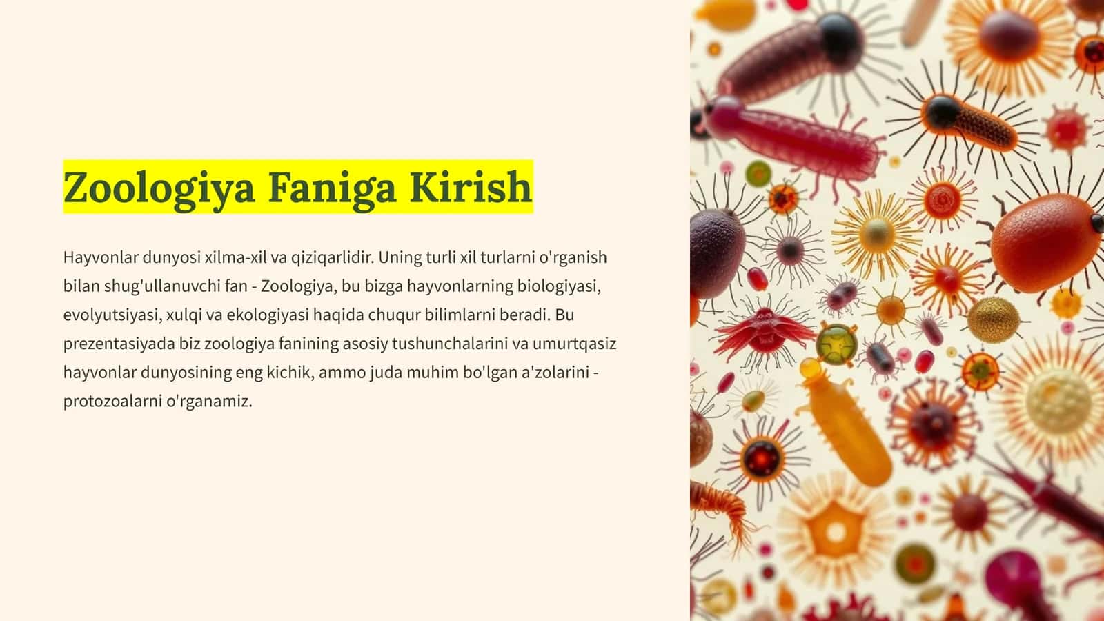 Umurtqasizlar: Hayvonlar Dunyosining Xilma-xilligi