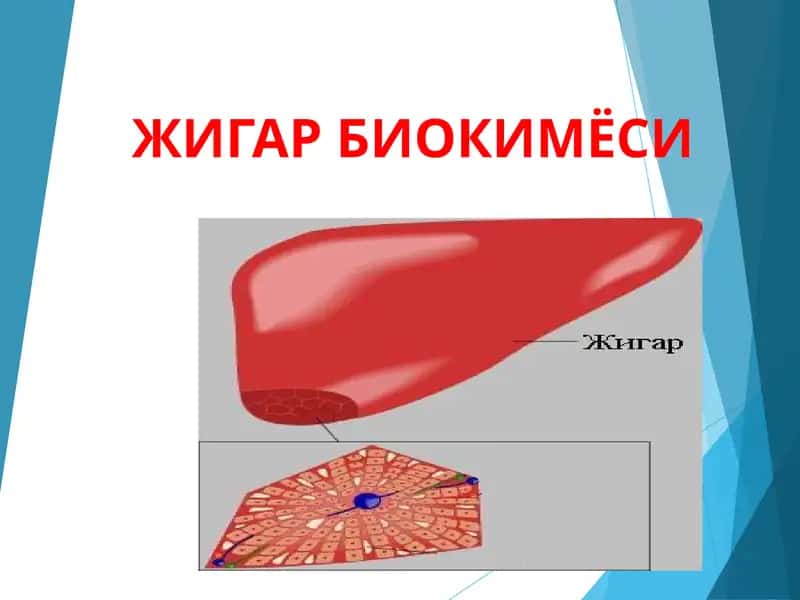 ЖИГАР БИОКИМЁСИ