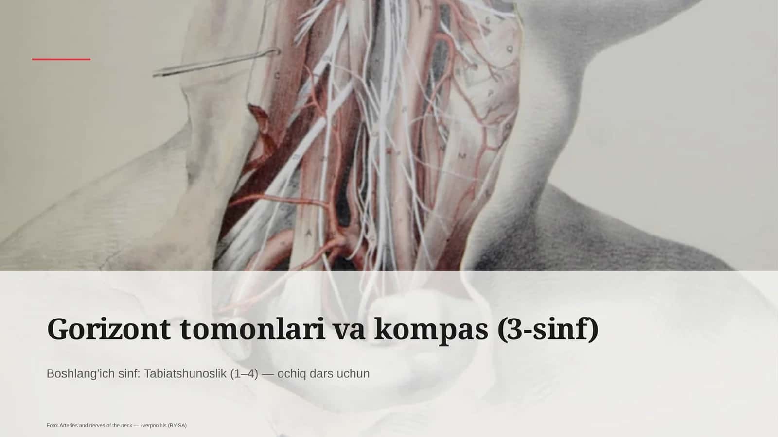 Gorizont tomonlari va kompas (3-sinf)
