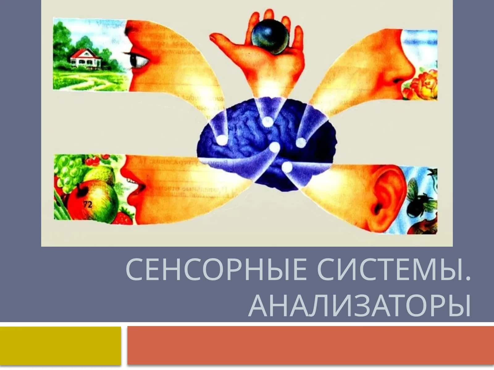 Анализатор