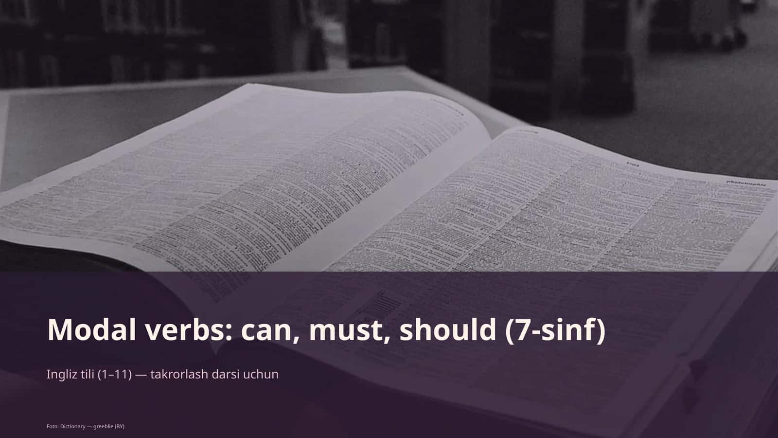 Modal verbs: can, must, should (7-sinf)