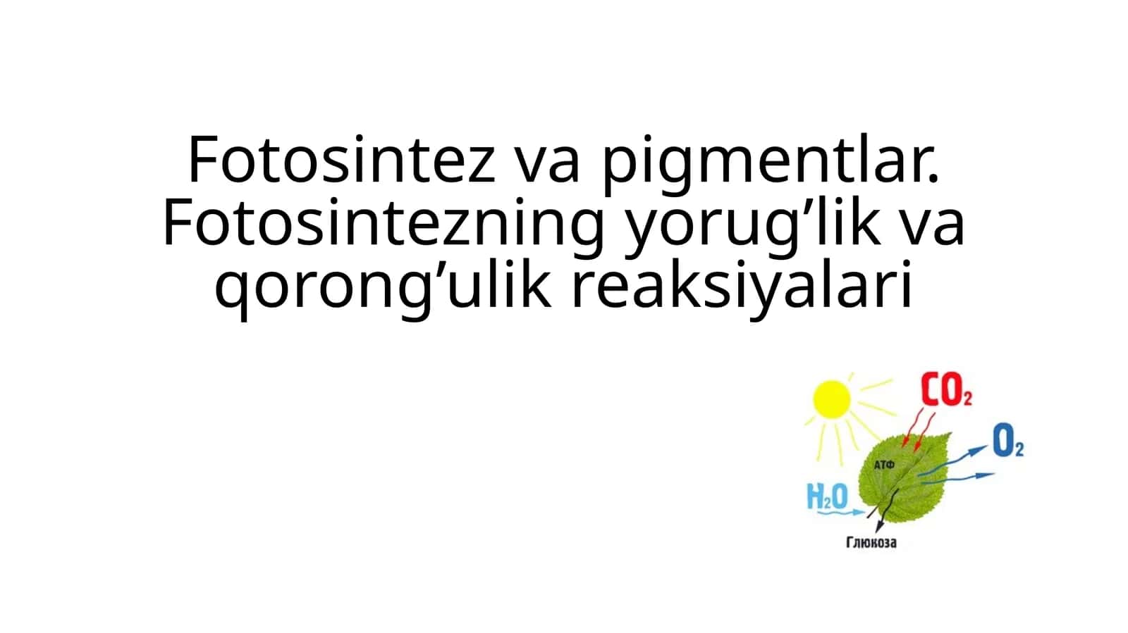 Fotosintez va pigmentlar. Fotosintezning yorug’lik va qorong’ulik reaksiyalari 1