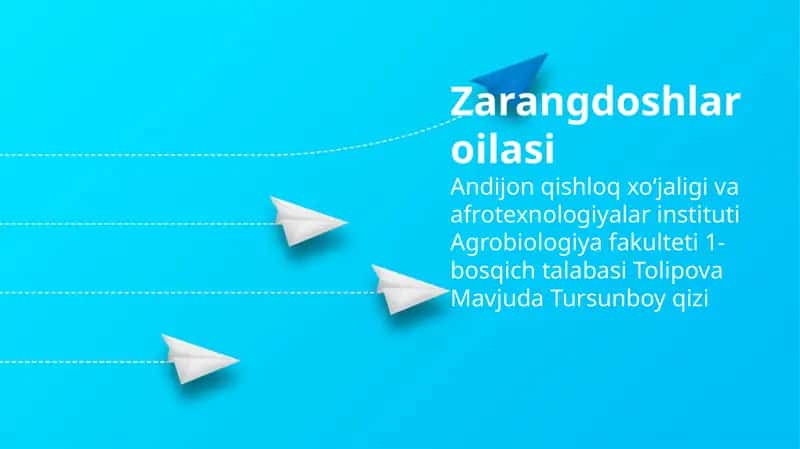 Jarohat qurbonlari oilasi