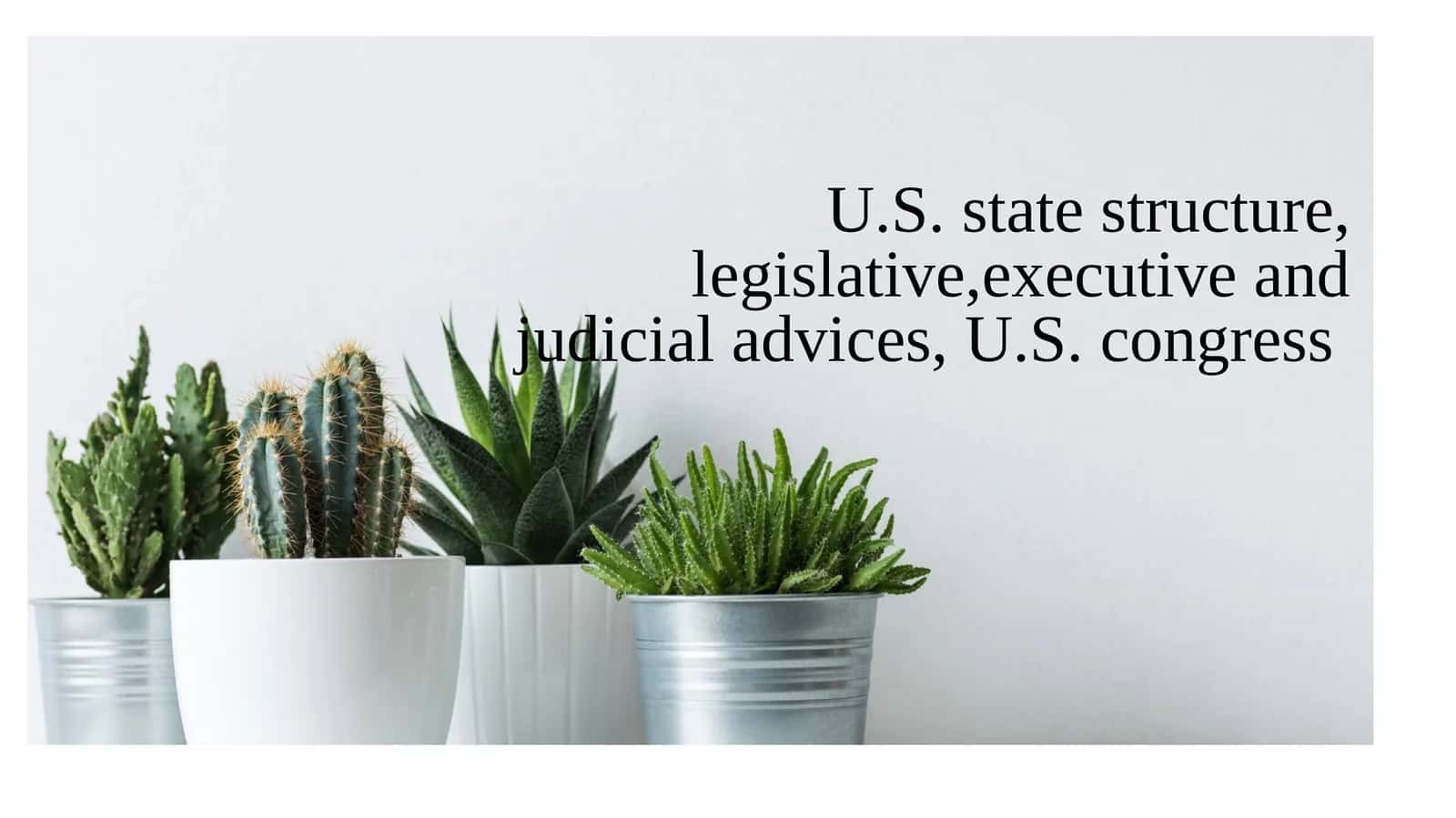 U.S. state structure, legislative, executive and judicial advices, U.S. congress