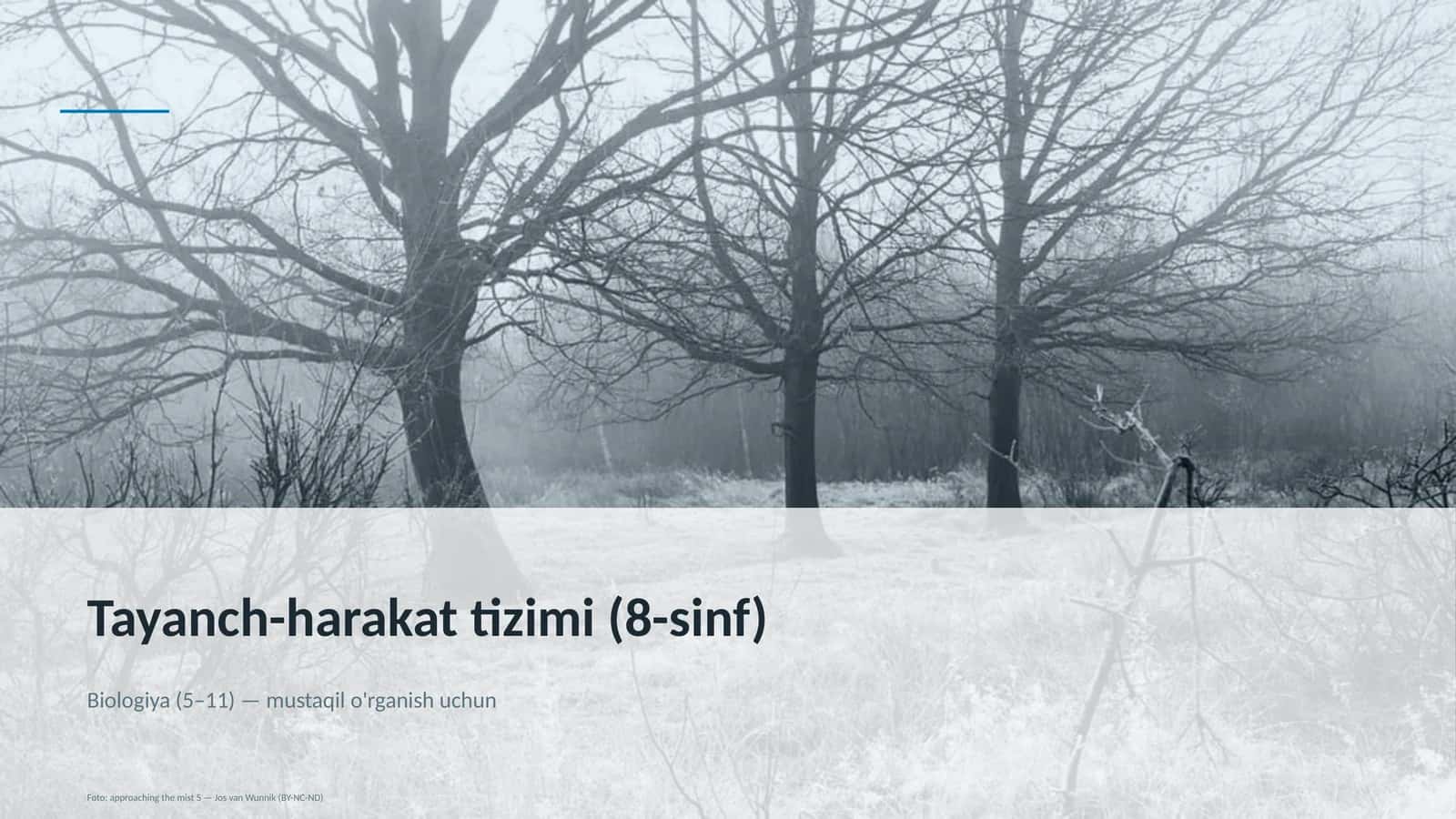 Tayanch-harakat tizimi (8-sinf)