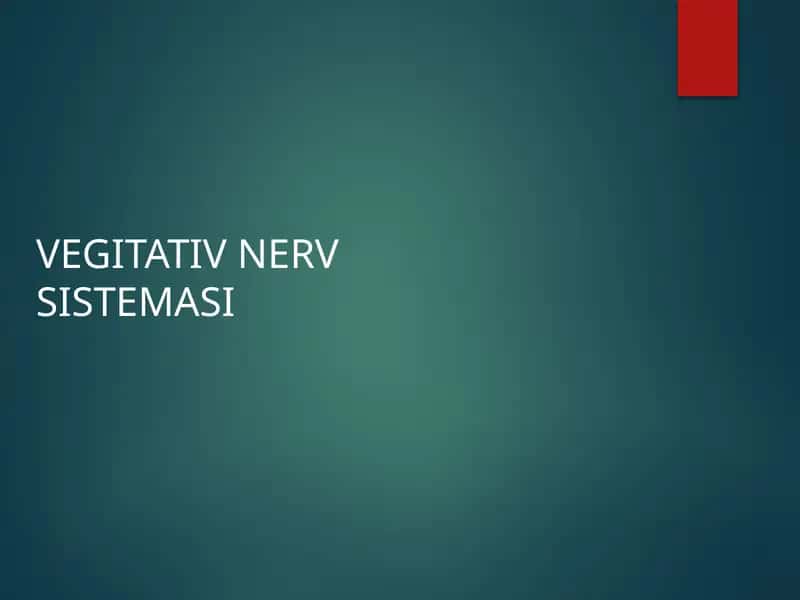 VEGITATIV NERV SISTEMASI