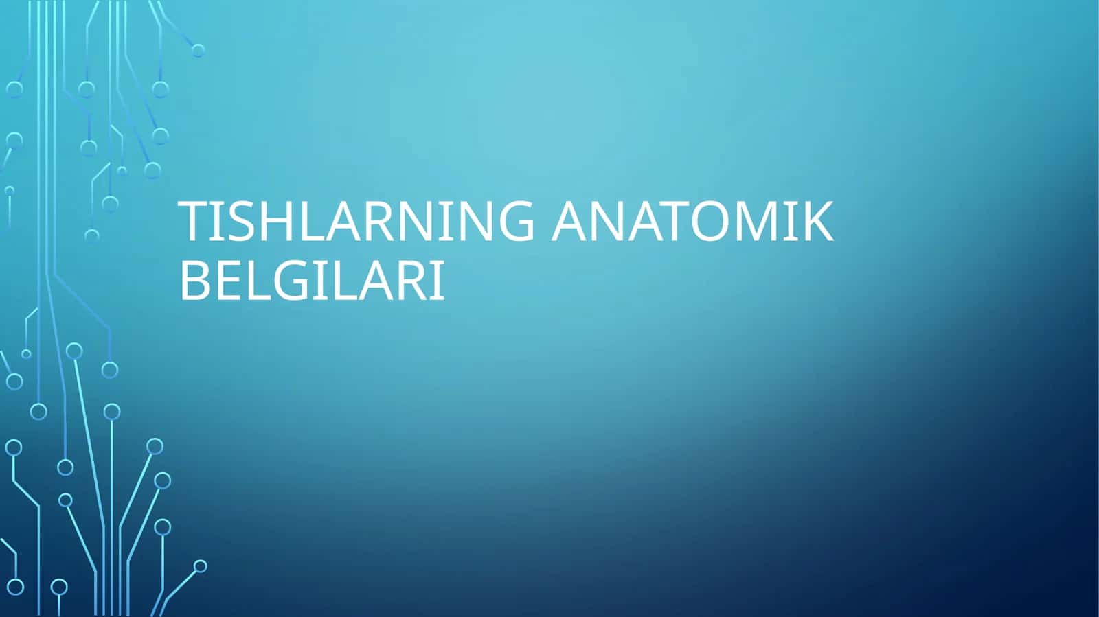Tishlar anatomiyasi