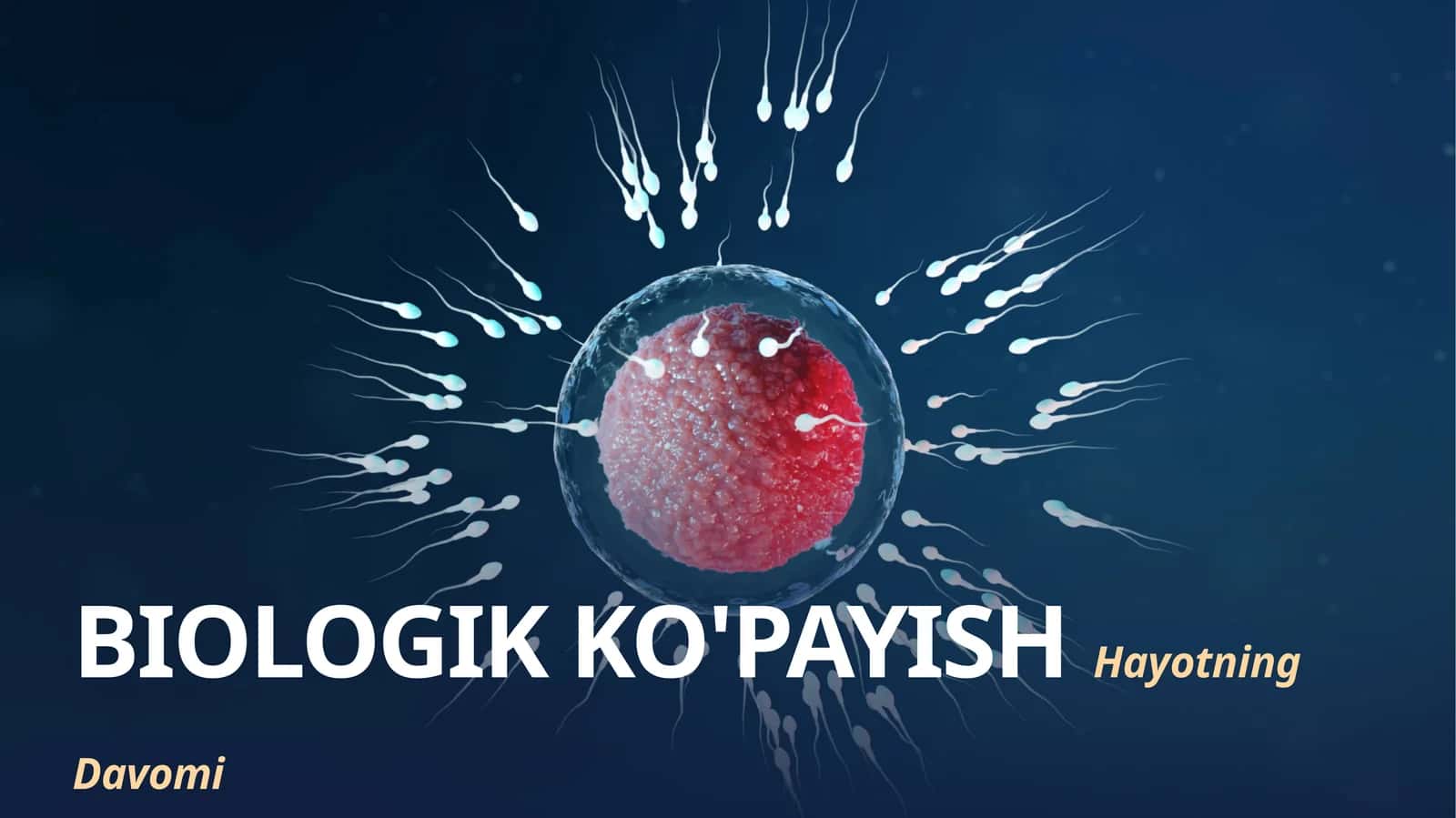 BIOLOGIK KO'PAYISH Hayotning Davomi Prezentatsiya (20 ta slayd)