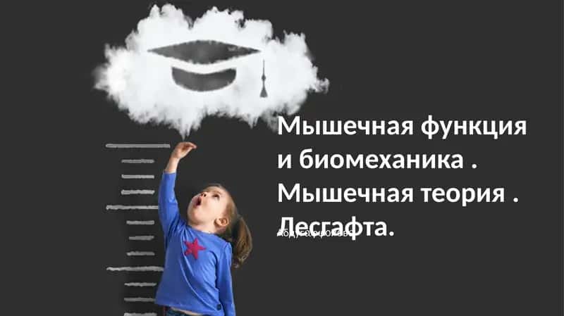 Мышечная функция и биомеханика
