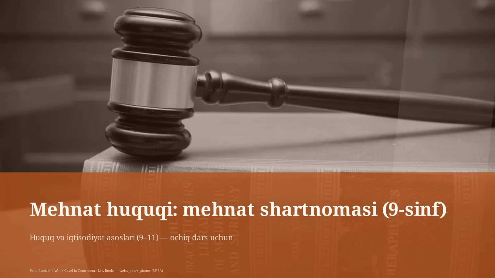 Mehnat huquqi: mehnat shartnomasi (9-sinf)
