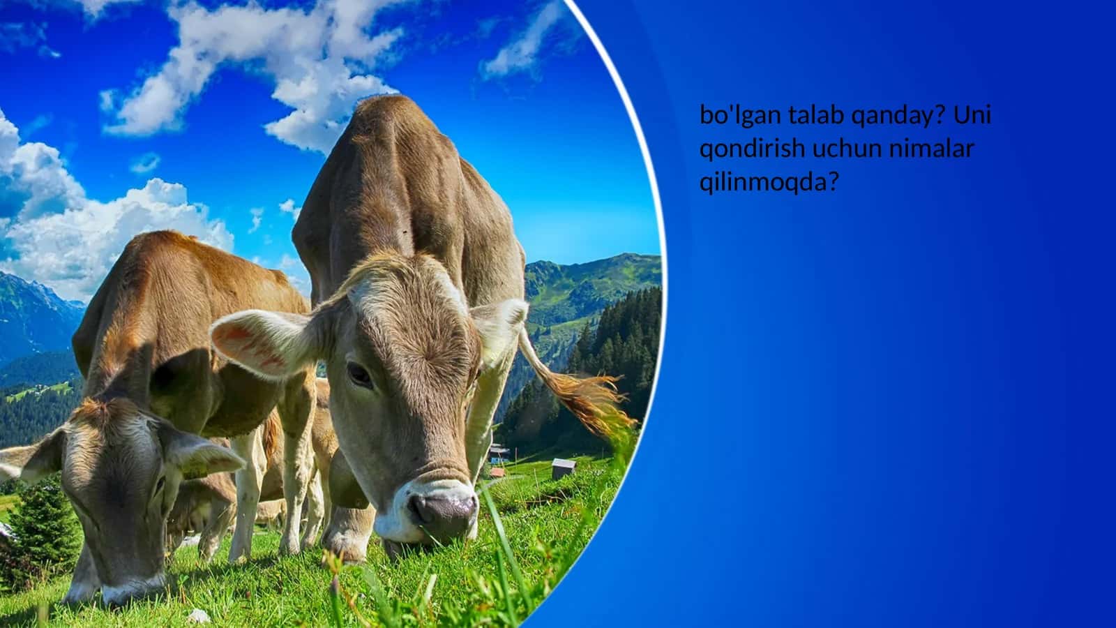 Qishloqxo‘jaligining chorvachilik tarmog‘i