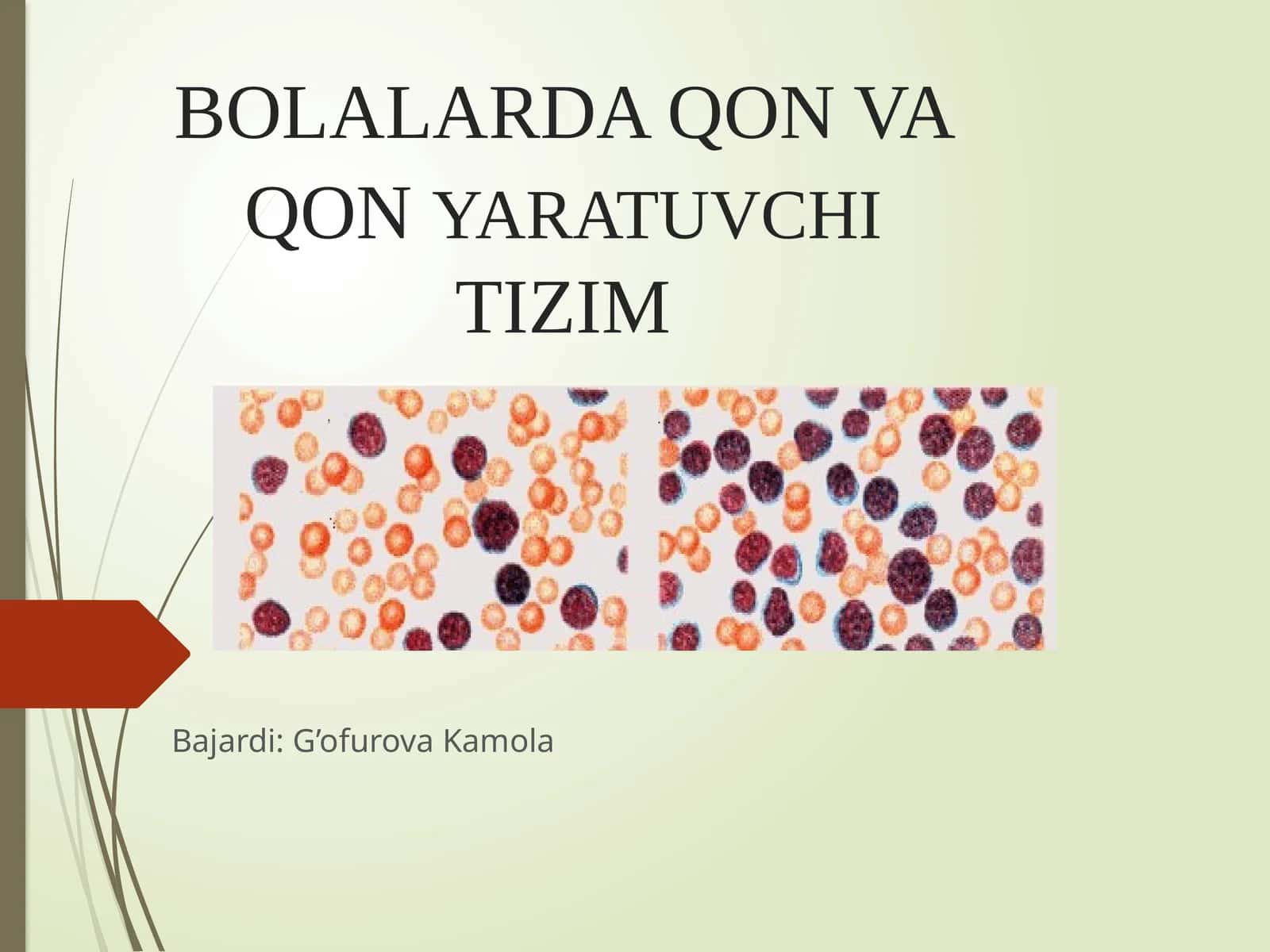 BOLALARDA QON VA QONYARATUVCHITIZIM