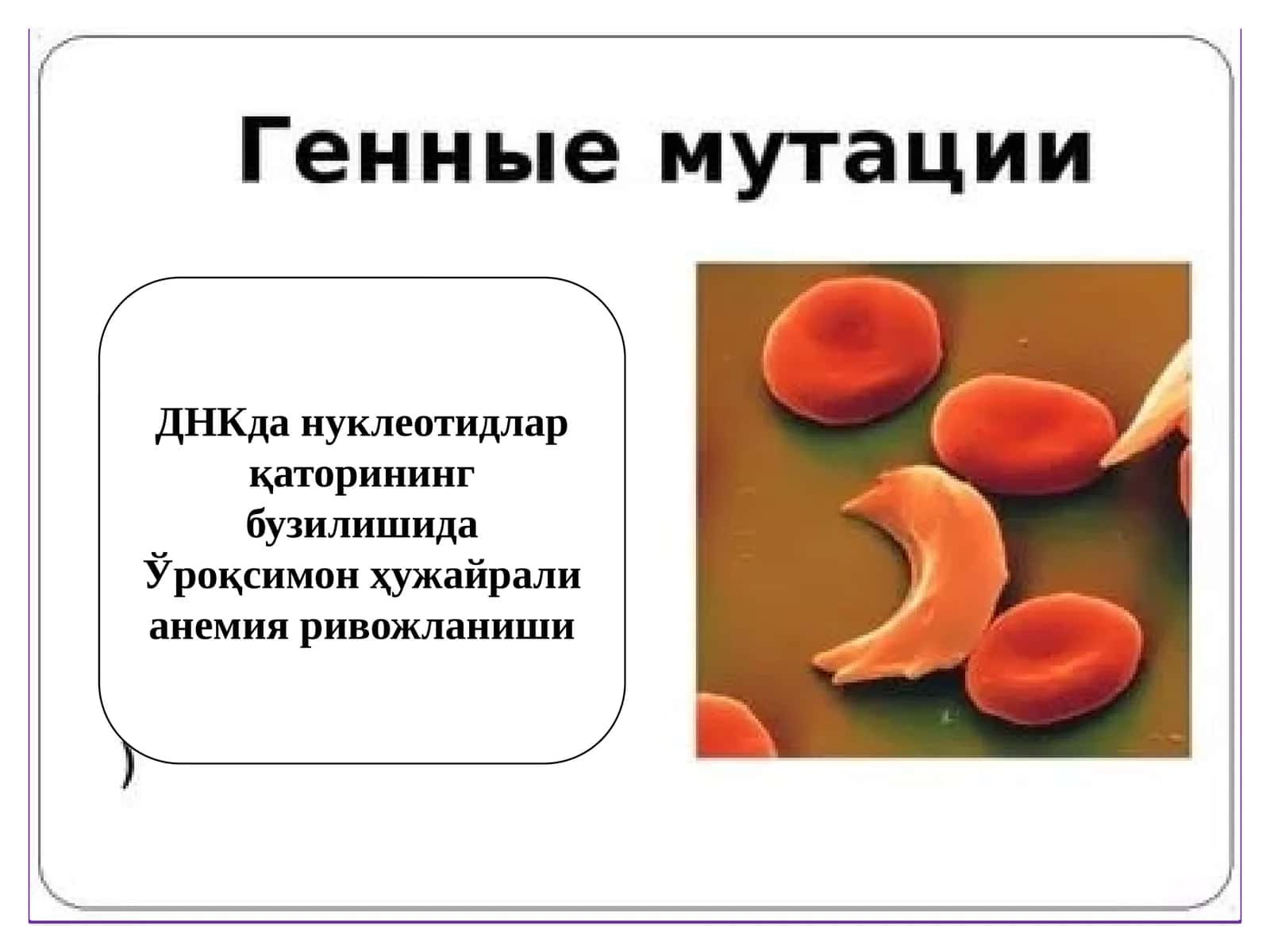 Мутация