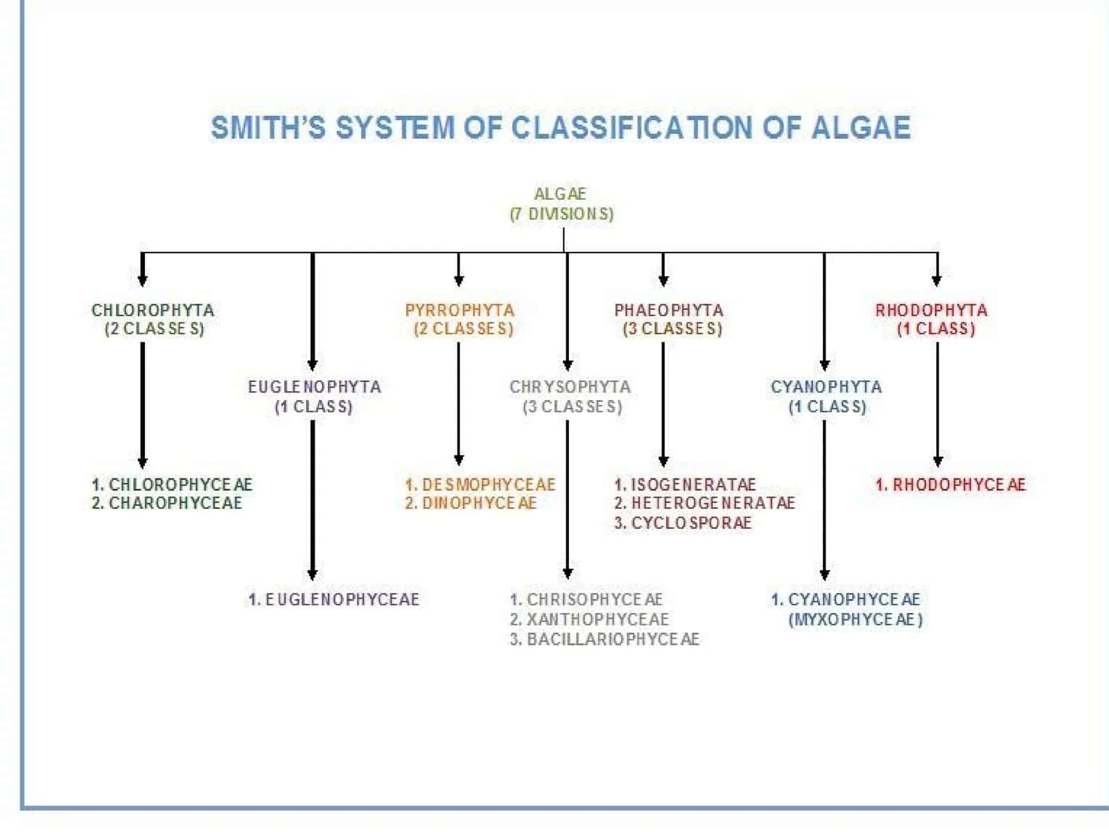 Blue-green algae as bio-indicators