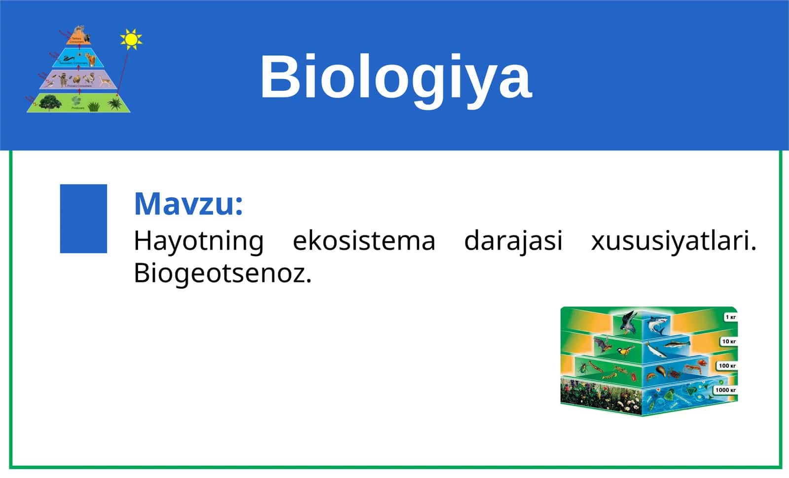 Hayotning ekosistemalar darajasi xususiyatlari. Biogeotsenoz