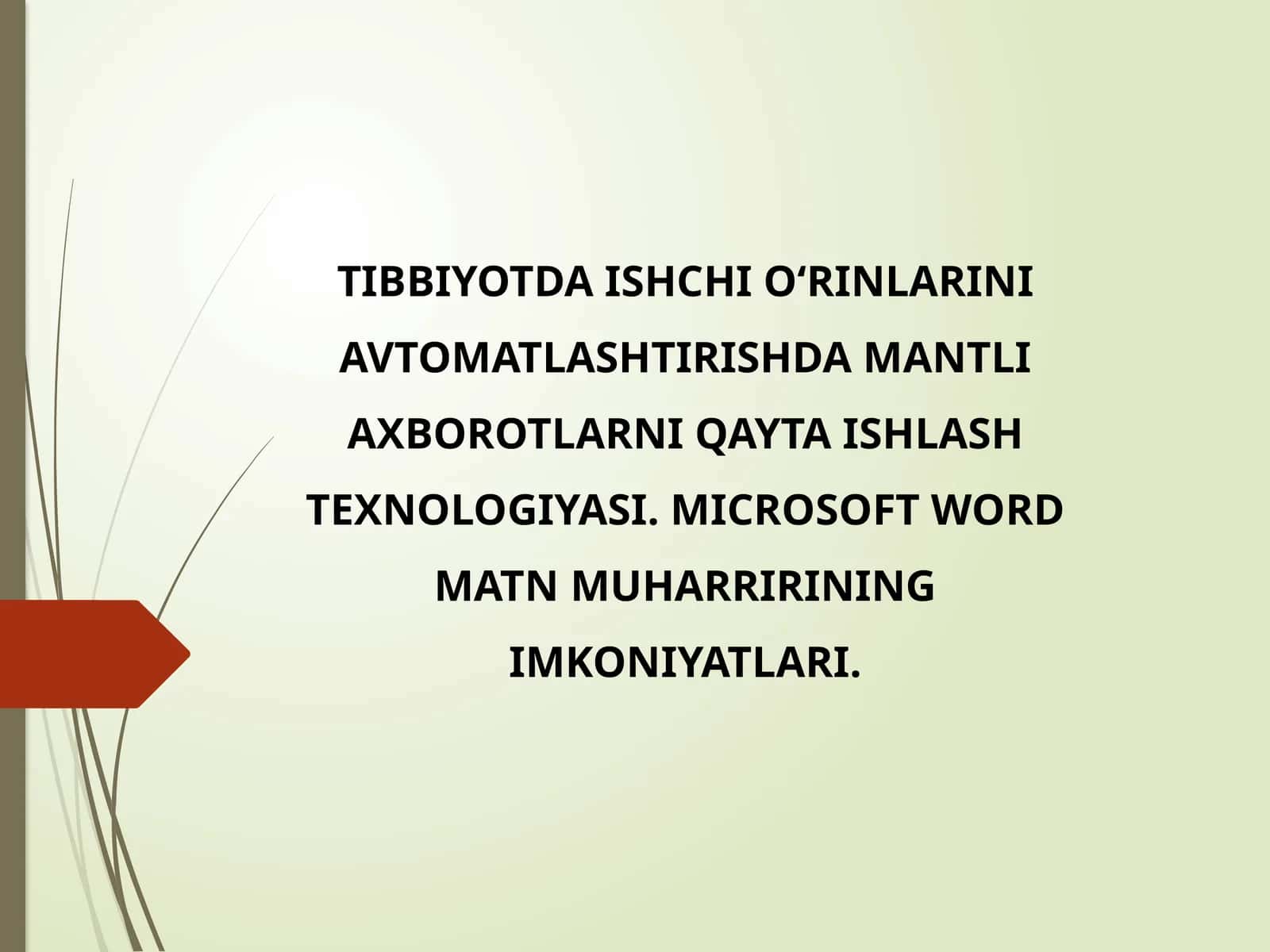 QO‘LYOZMALAR