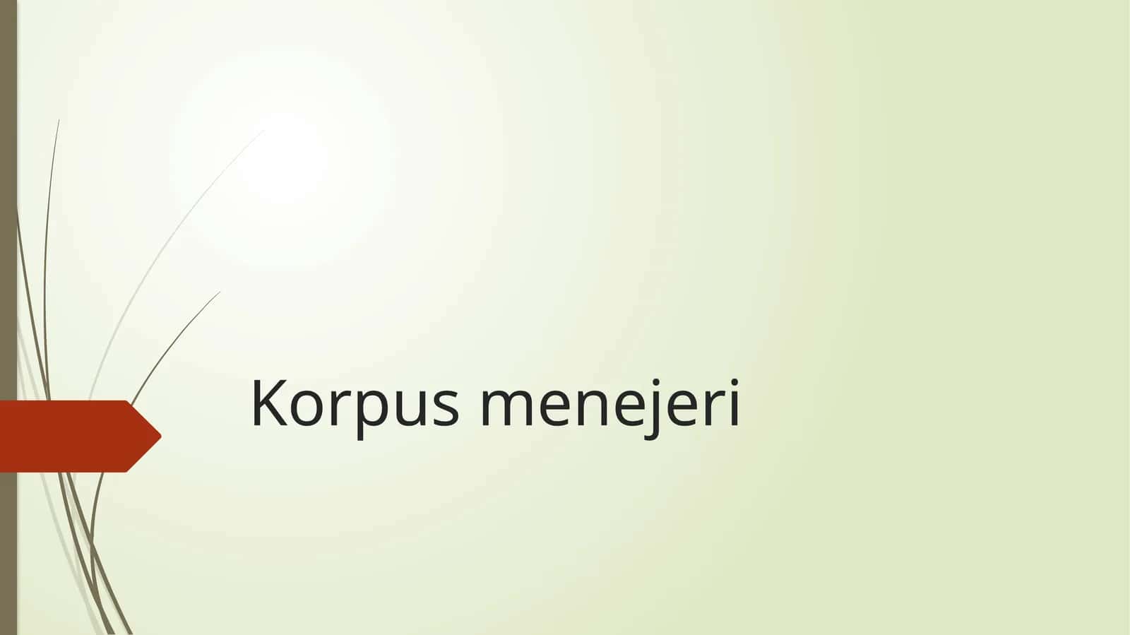 Korpus menejeri