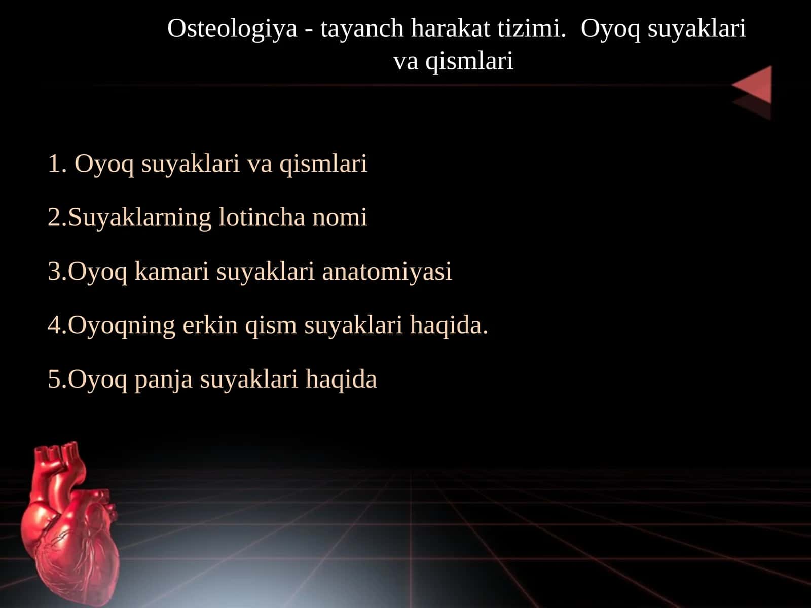 Osteologiya - tayanch harakat tizimi. Oyoq suyaklari va qismlari