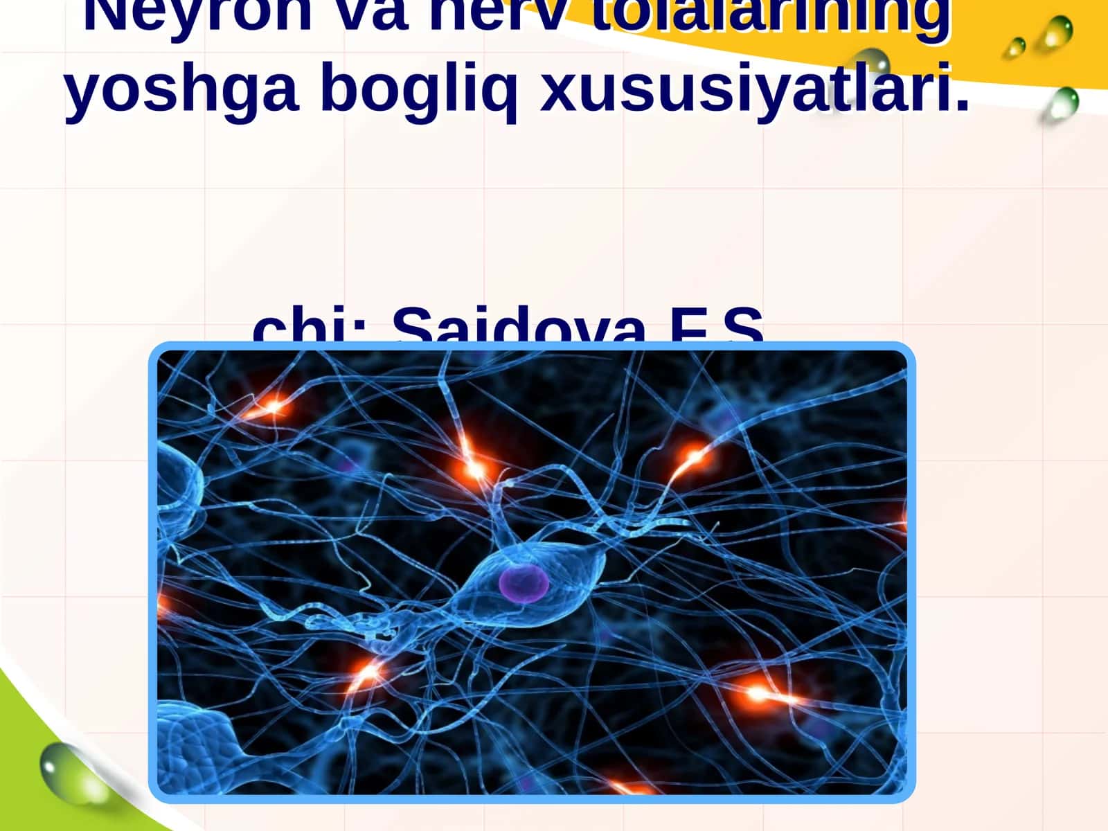 Neyron va nerv tolalarining yoshga bogliq xususiyatlari.chi: Saidova F.S