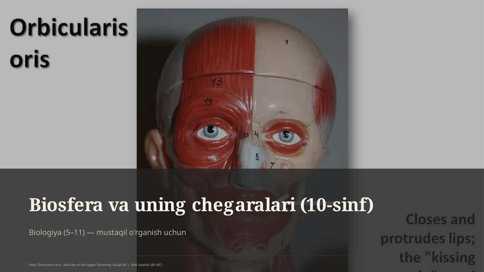 Biosfera va uning chegaralari (10-sinf)
